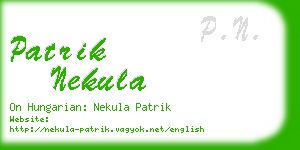 patrik nekula business card